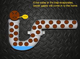 P trap low water